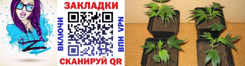 Купить наркотики Можга АМФ Псилоцибиновые грибы Гашиш МАРИХУАНА Мефедрон Кокаин MEGA ТОР Alpha-PVP