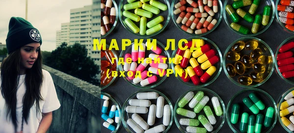 ПСИЛОЦИБИНОВЫЕ ГРИБЫ Арсеньев