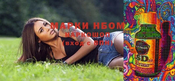 ПСИЛОЦИБИНОВЫЕ ГРИБЫ Арсеньев