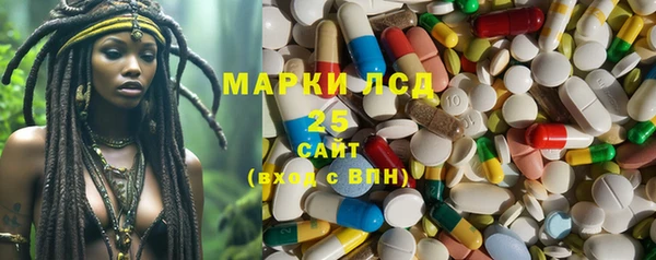 ПСИЛОЦИБИНОВЫЕ ГРИБЫ Арсеньев