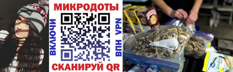 закладка  Можга  Галлюциногенные грибы мицелий 